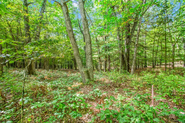 $69,000 | 9425 Benjamin Drive, Newaygo, MI 49337