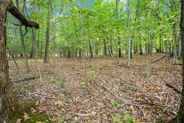 $69,000 | 9425 Benjamin Drive, Newaygo, MI 49337