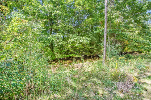 $69,000 | 9425 Benjamin Drive, Newaygo, MI 49337