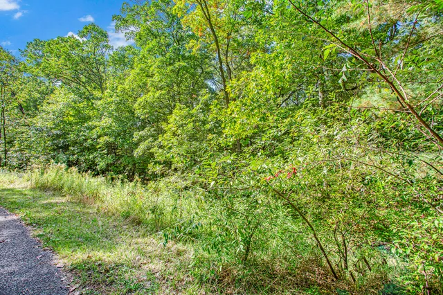 $69,000 | 9425 Benjamin Drive, Newaygo, MI 49337