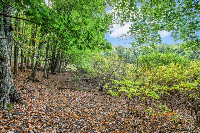 $69,000 | 9425 Benjamin Drive, Newaygo, MI 49337