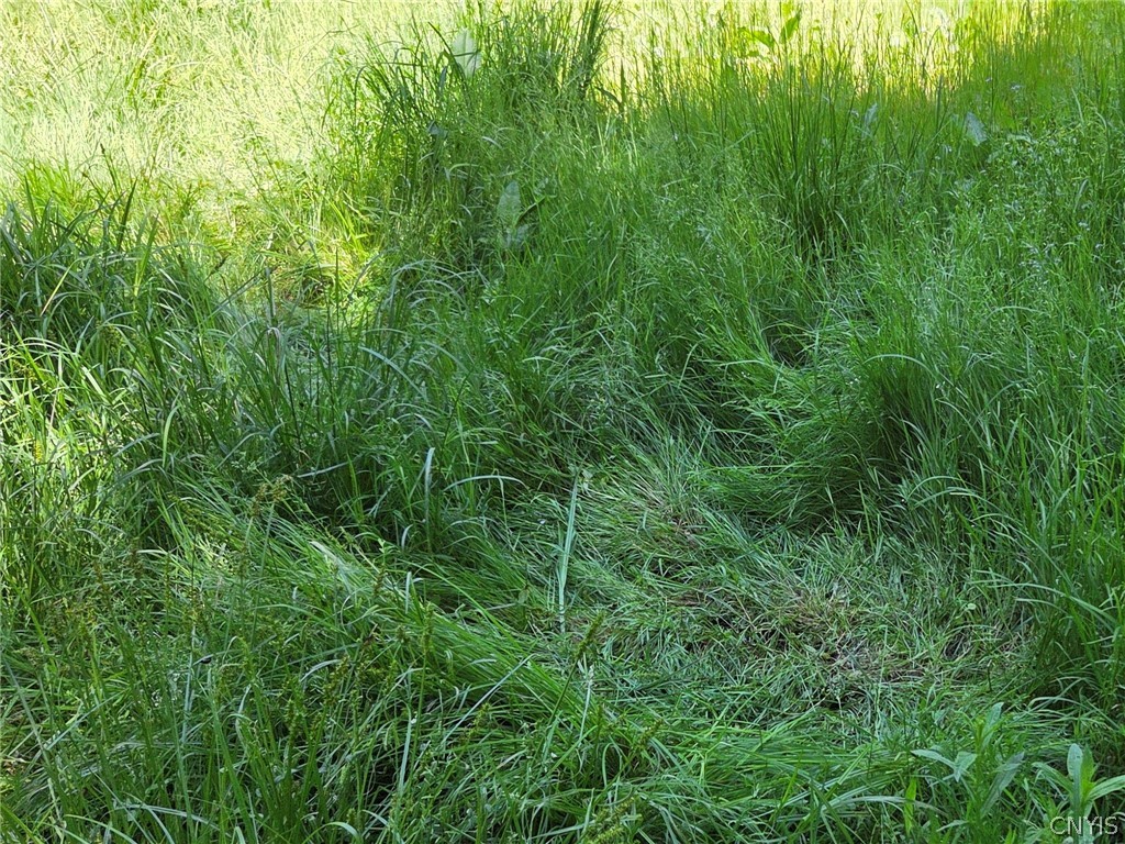 Lillibridge Road Olean, NY 14760 - Photo 8 of 48