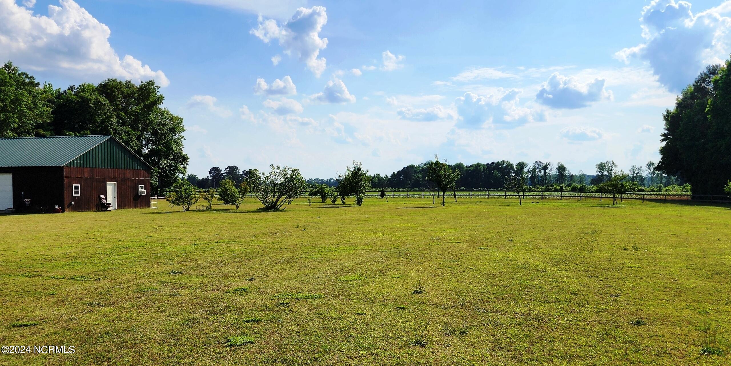 1613 Webbs Chapel Road Macclesfield, NC 27852 - Photo 37 of 40 Yard with fruit trees