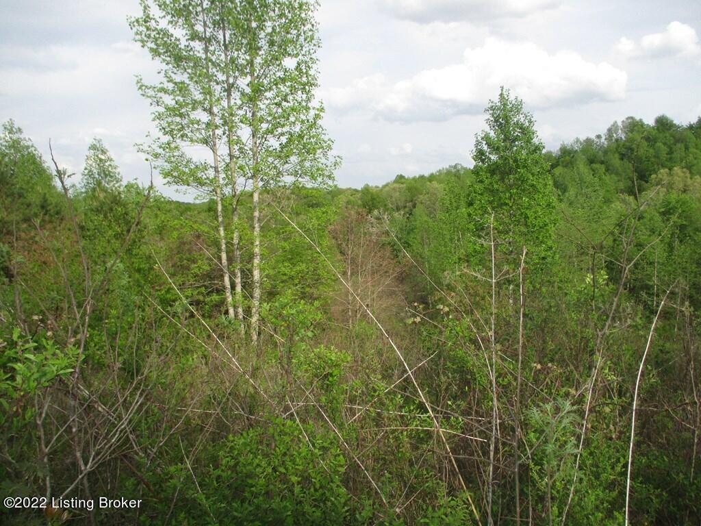 6308 Dan Ridge Road Wellington, KY 40387 - Photo 8 of 12 38904_7