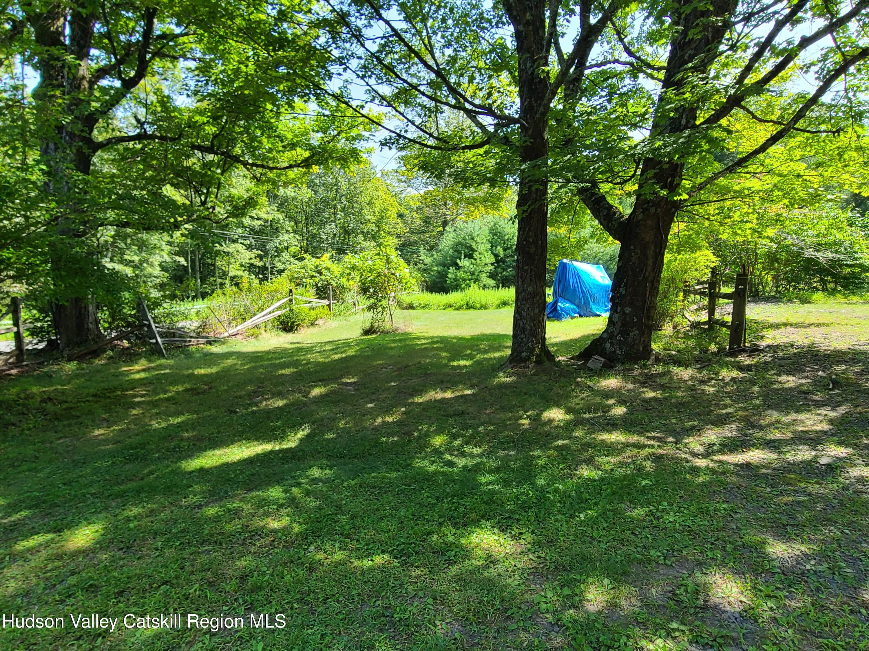 44 Sheldon Hill Road Olivebridge, NY 12461 - Photo 12 of 24 a view of a trees with a yard