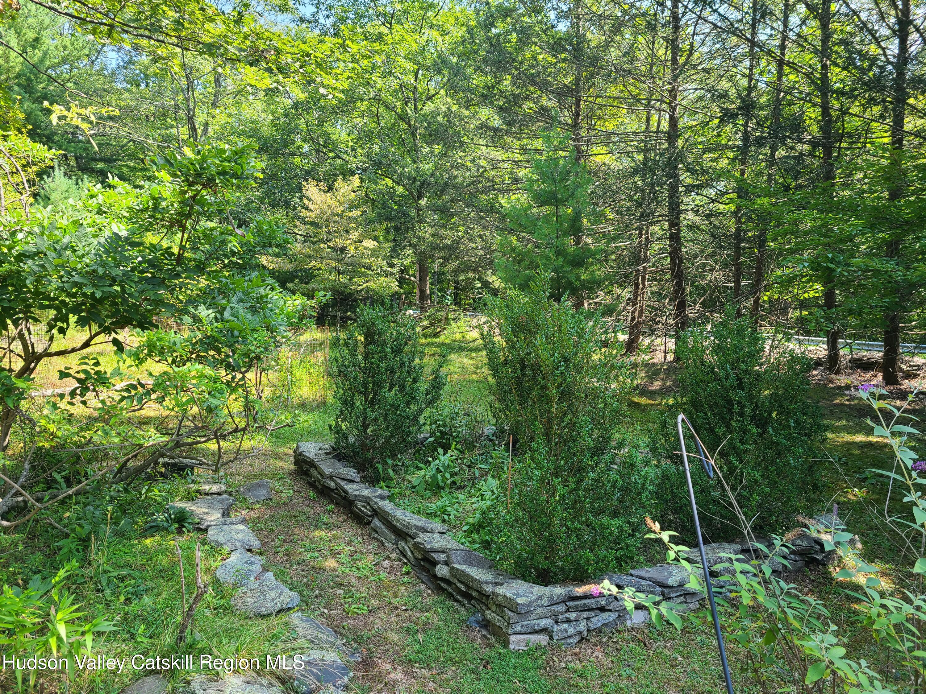 44 Sheldon Hill Road Olivebridge, NY 12461 - Photo 15 of 24 a view of a lush green forest