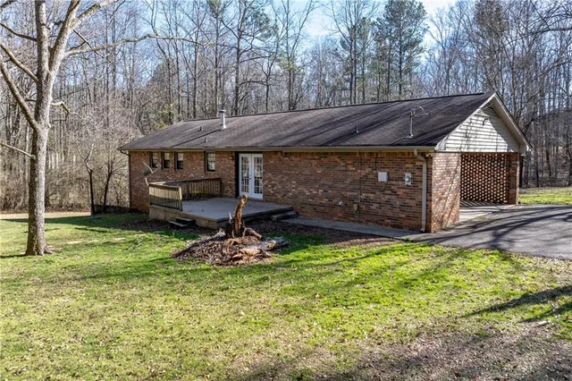 a view of a backyard with plants and large tree