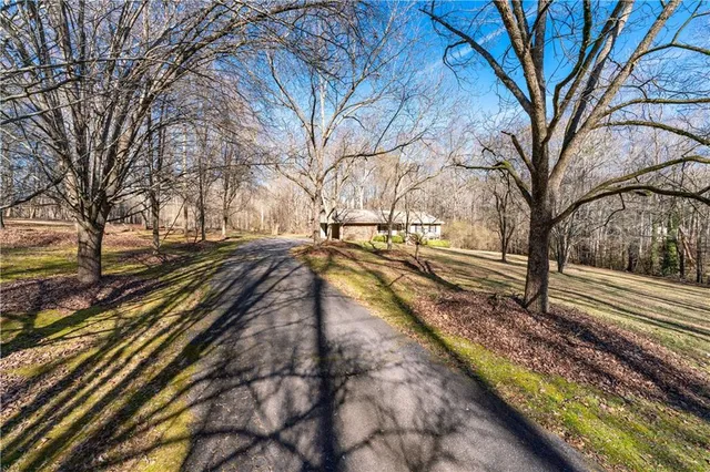a view of a yard with trees