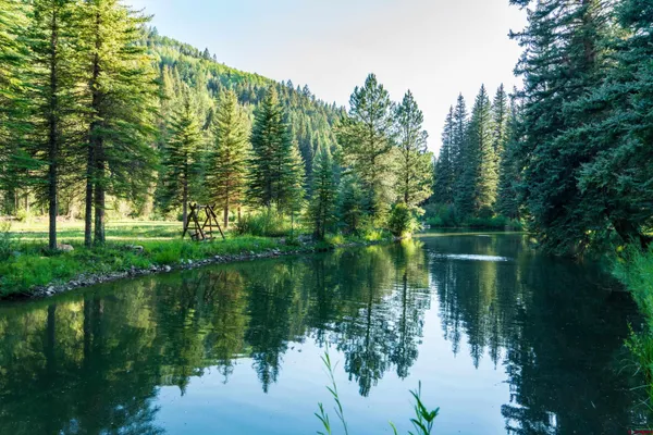 a front view of a house with large trees