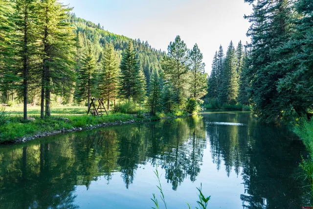 a front view of a house with large trees