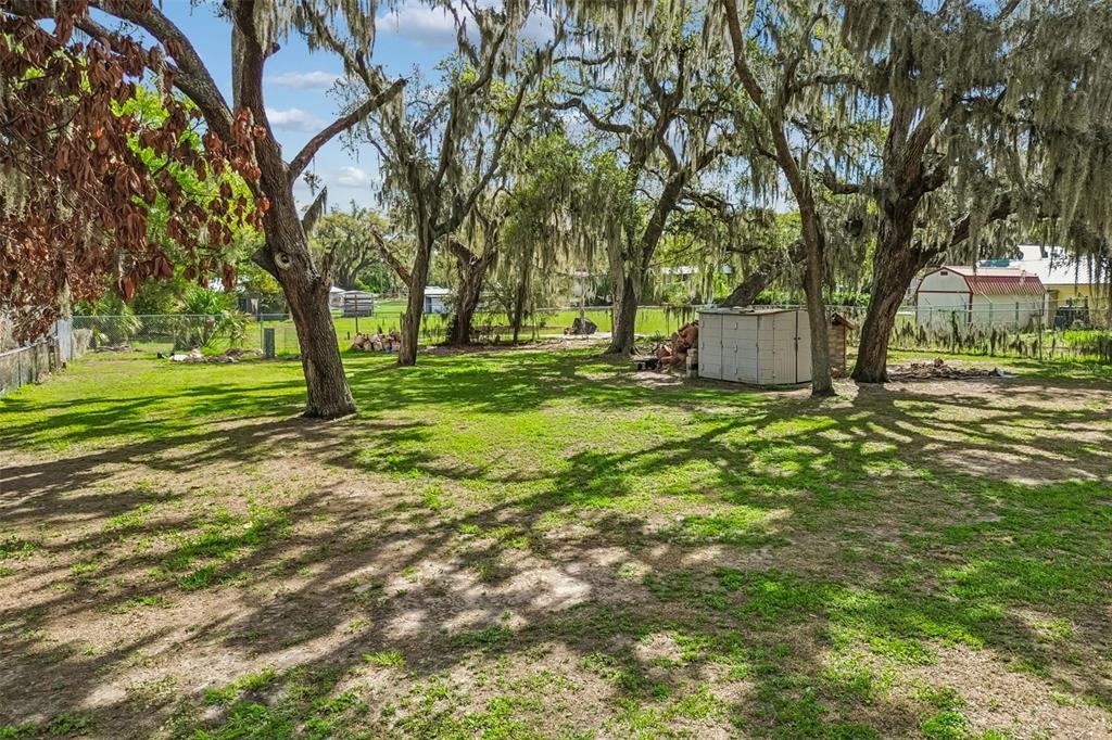 7304 Turkey Creek Road Plant City, FL 33567 - Photo 23 of 25