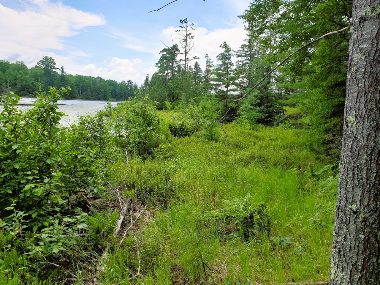 Lot 5 Blue Heron Ridge Road Mercer, WI 54547 - Photo 5 of 13 Gallery Image 5