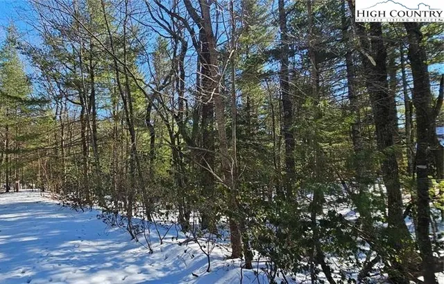 a view of outdoor space and trees