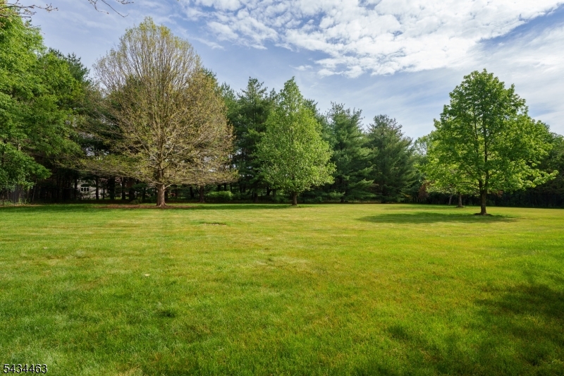 110 Orchard Road Skillman, NJ 08558 - Photo 36 of 43 a view of outdoor space with yard