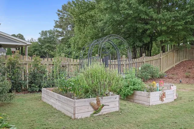 a view of a garden with plants