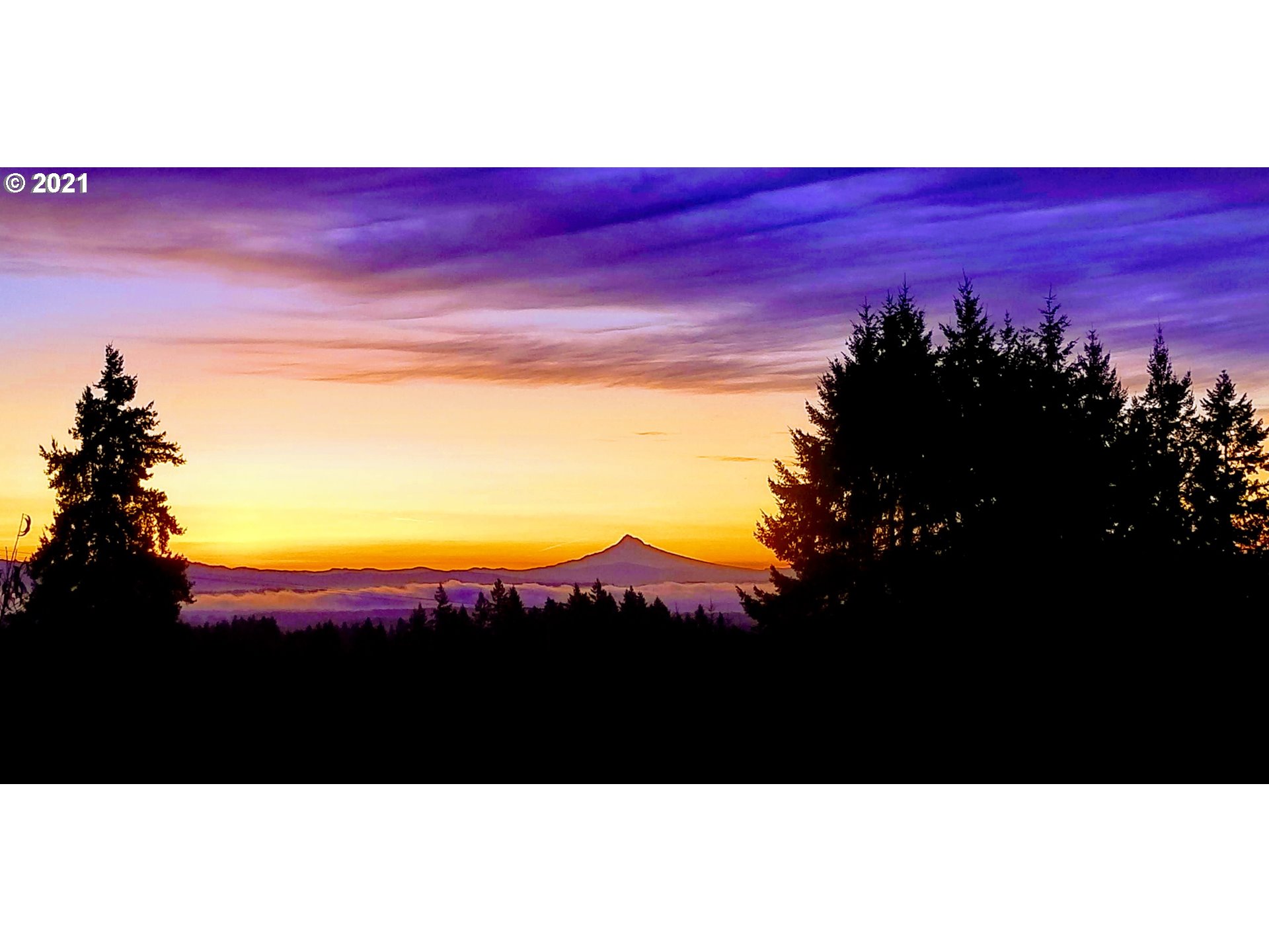 33415 Blaha Road Warren, OR 97053 - Photo 28 of 31 Gallery Image 28