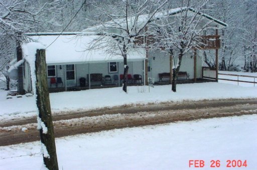 Primary Photo