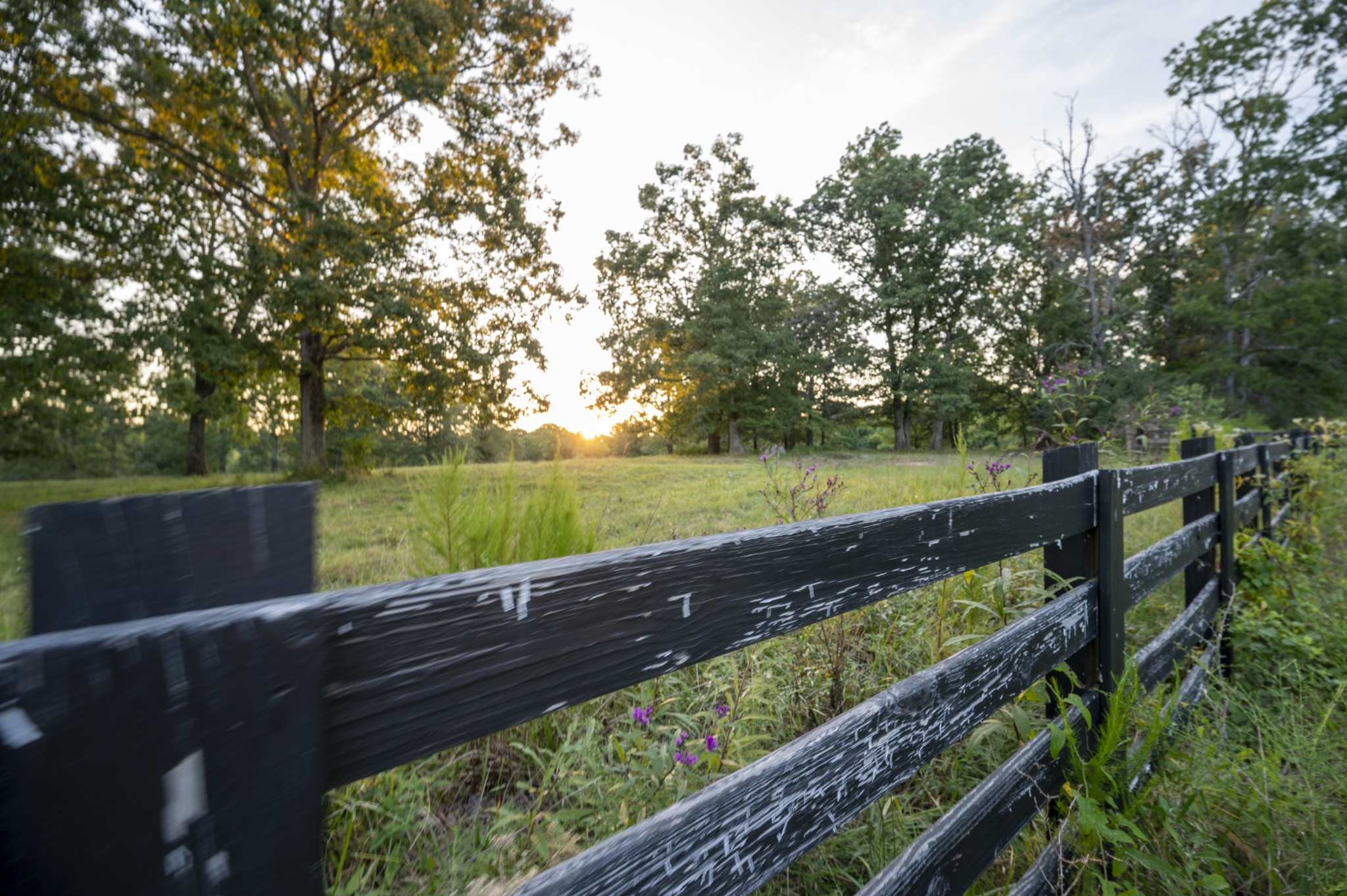 4000 Jumpoff Road Sewanee, TN 37375 - Photo 18 of 68 Gallery Image 18