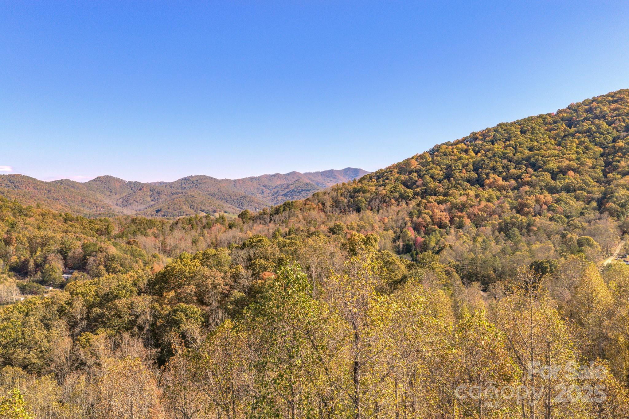 279 Morgan Branch Road Weaverville, NC 28787 - Photo 3 of 11 a view of a large mountain