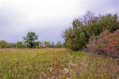 East Gilford Road, Unit PAR A Deford, MI 48729 - Photo 1 of 1 Primary Photo