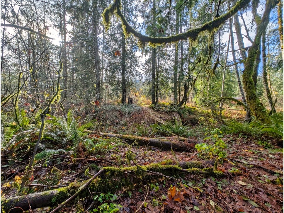 67197 East Barlow Trail Road Rhododendron, OR 97049 - Photo 11 of 20