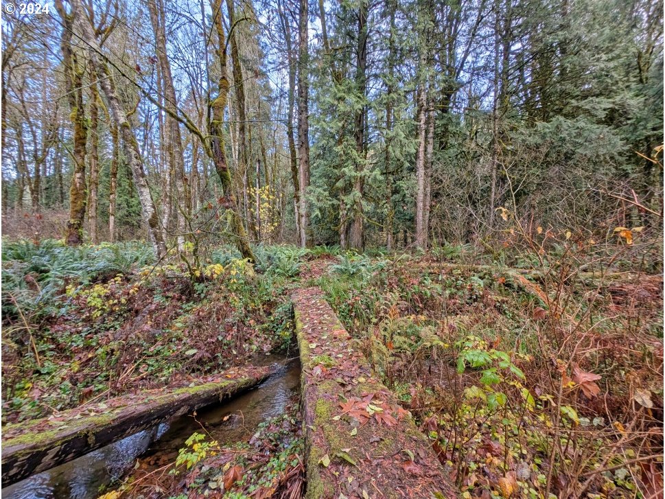 67197 East Barlow Trail Road Rhododendron, OR 97049 - Photo 13 of 20