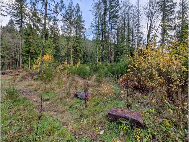 $235,000 | 67197 East Barlow Trail Road, Rhododendron, OR 97049