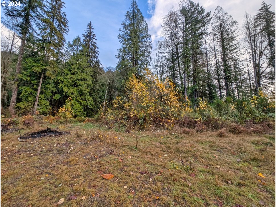 67197 East Barlow Trail Road Rhododendron, OR 97049 - Photo 15 of 20