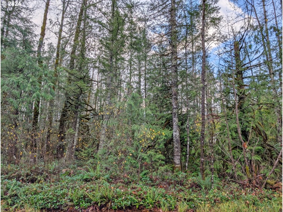 67197 East Barlow Trail Road Rhododendron, OR 97049 - Photo 16 of 20