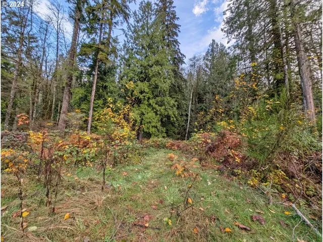 $235,000 | 67197 East Barlow Trail Road, Rhododendron, OR 97049
