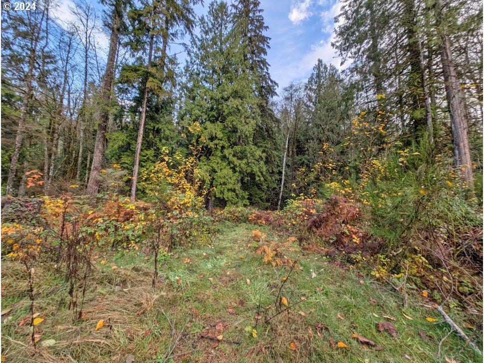 67197 East Barlow Trail Road Rhododendron, OR 97049 - Photo 17 of 20