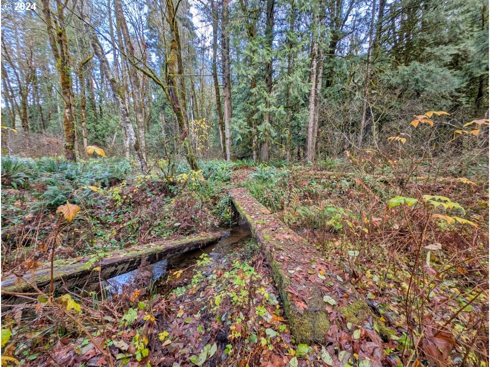 67197 East Barlow Trail Road Rhododendron, OR 97049 - Photo 18 of 20