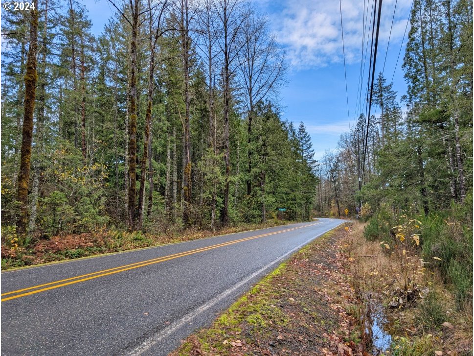 67197 East Barlow Trail Road Rhododendron, OR 97049 - Photo 19 of 20