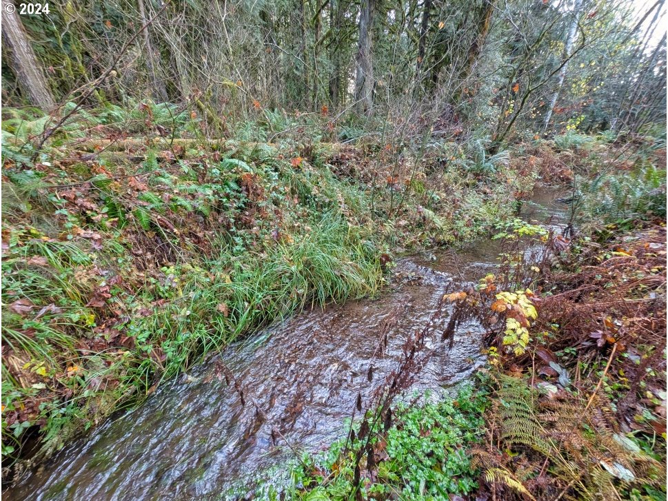 67197 East Barlow Trail Road Rhododendron, OR 97049 - Photo 2 of 20
