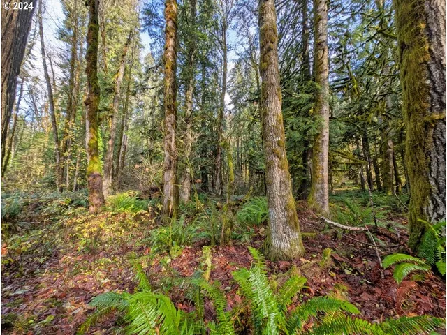 $235,000 | 67197 East Barlow Trail Road, Rhododendron, OR 97049