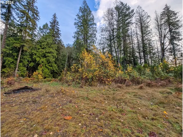 $235,000 | 67197 East Barlow Trail Road, Rhododendron, OR 97049
