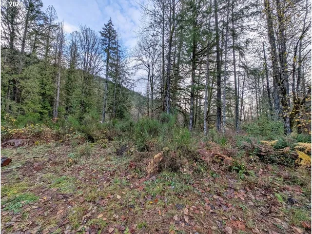 $235,000 | 67197 East Barlow Trail Road, Rhododendron, OR 97049