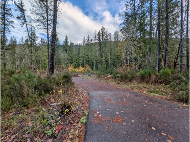 $235,000 | 67197 East Barlow Trail Road, Rhododendron, OR 97049
