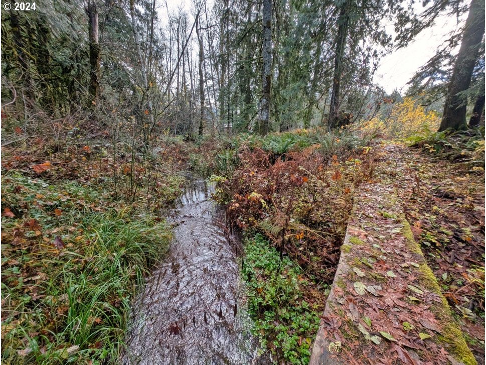 67197 East Barlow Trail Road Rhododendron, OR 97049 - Photo 7 of 20