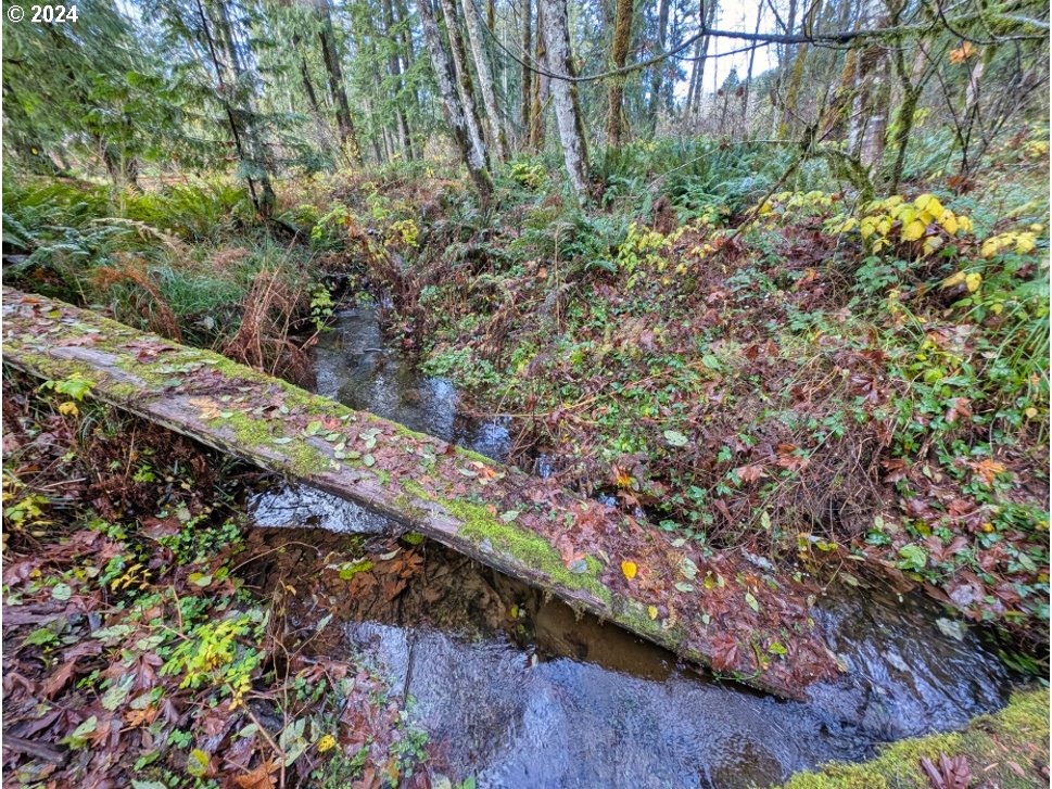 67197 East Barlow Trail Road Rhododendron, OR 97049 - Photo 8 of 20