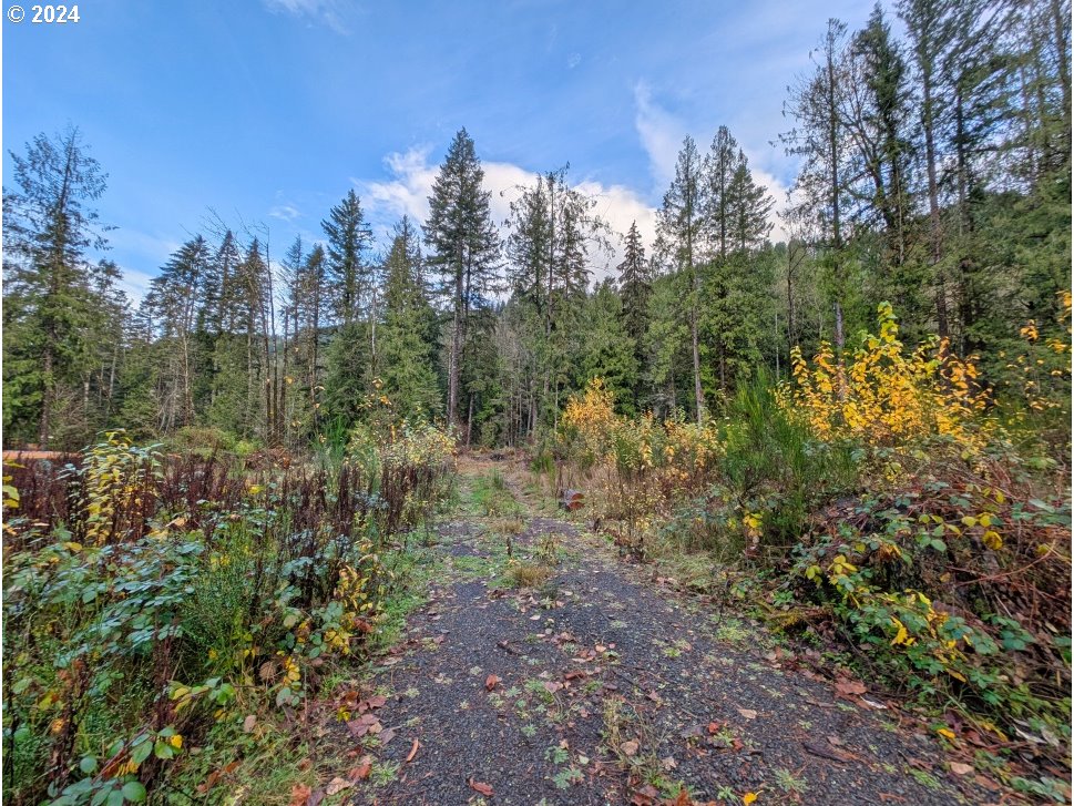 67197 East Barlow Trail Road Rhododendron, OR 97049 - Photo 9 of 20
