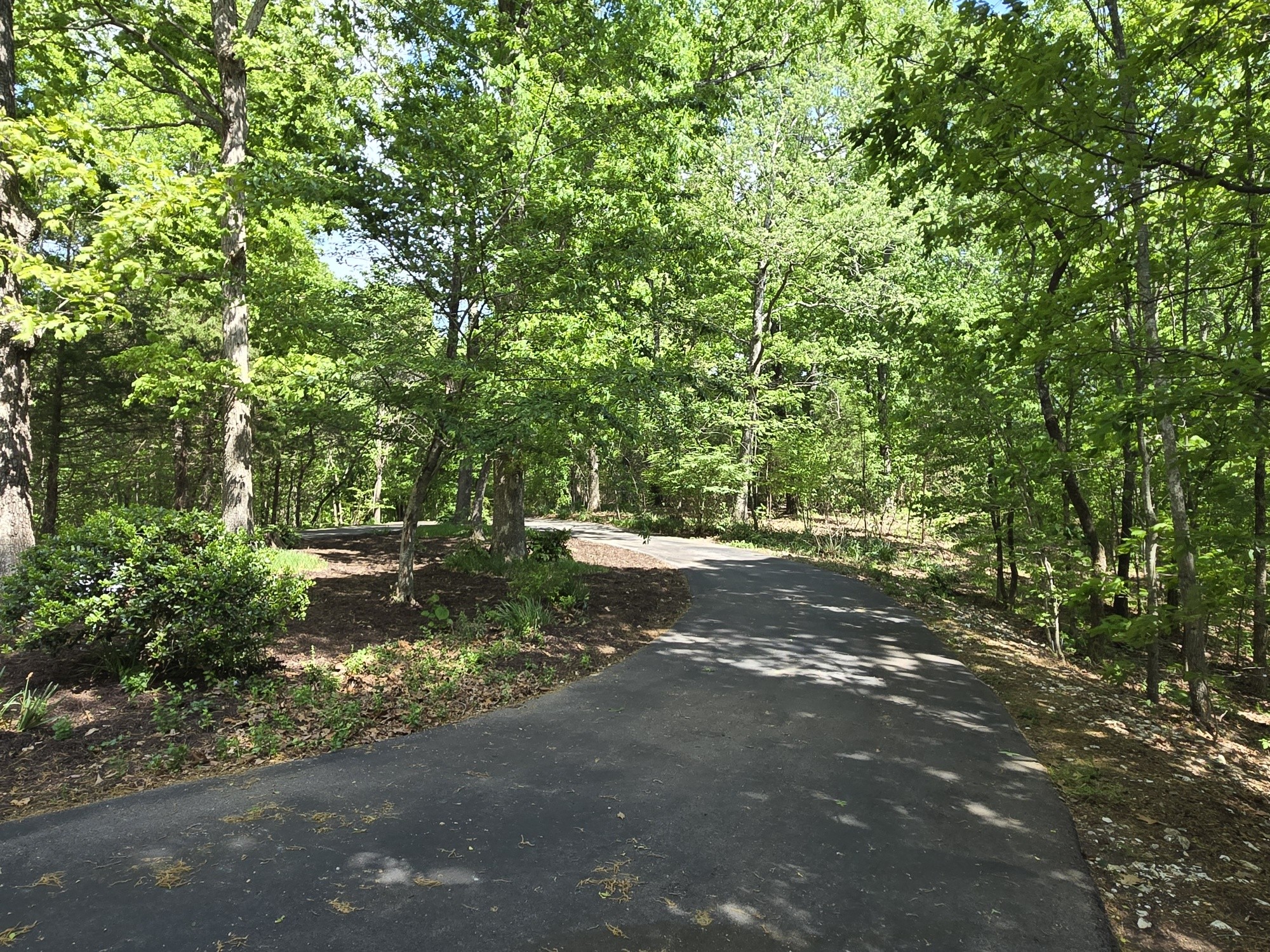 1050 Red Top Hill Road Buchanan, TN 38222 - Photo 38 of 41