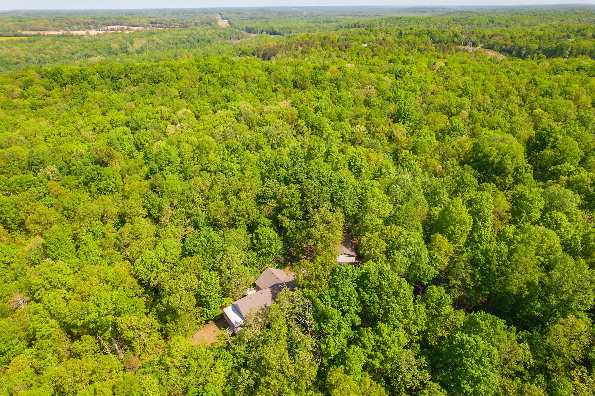 1050 Red Top Hill Road Buchanan, TN 38222 - Photo 6 of 41