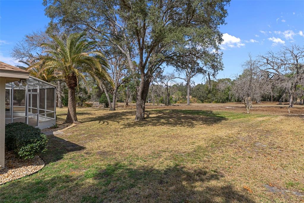 13 Enclave Point South Homosassa, FL 34446 - Photo 56 of 80