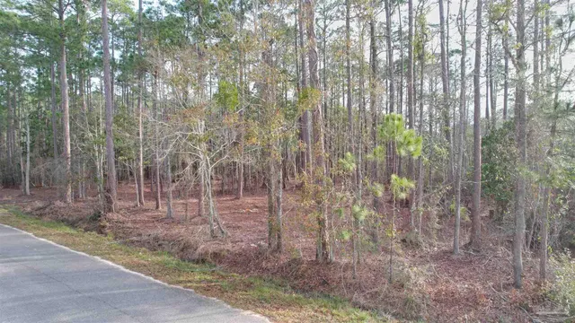 a backyard of a house with lots of green space and chair