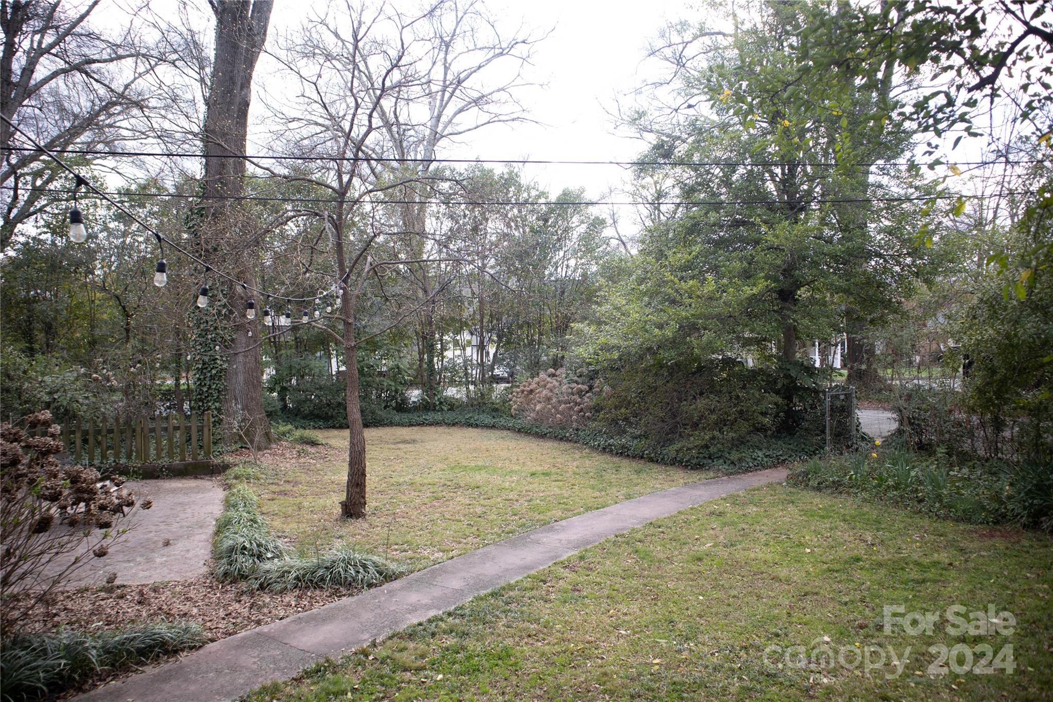 2932 Park Road Charlotte, NC 28209 - Photo 16 of 17 a view of a backyard with large trees