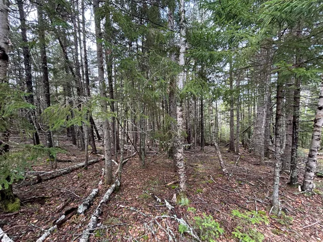 $93,900 | Lot 4 Julian Road, Lubec, ME 04652
