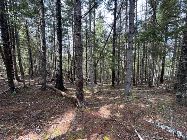 $93,900 | Lot 4 Julian Road, Lubec, ME 04652