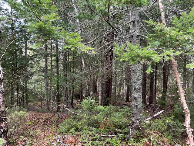 $93,900 | Lot 4 Julian Road, Lubec, ME 04652