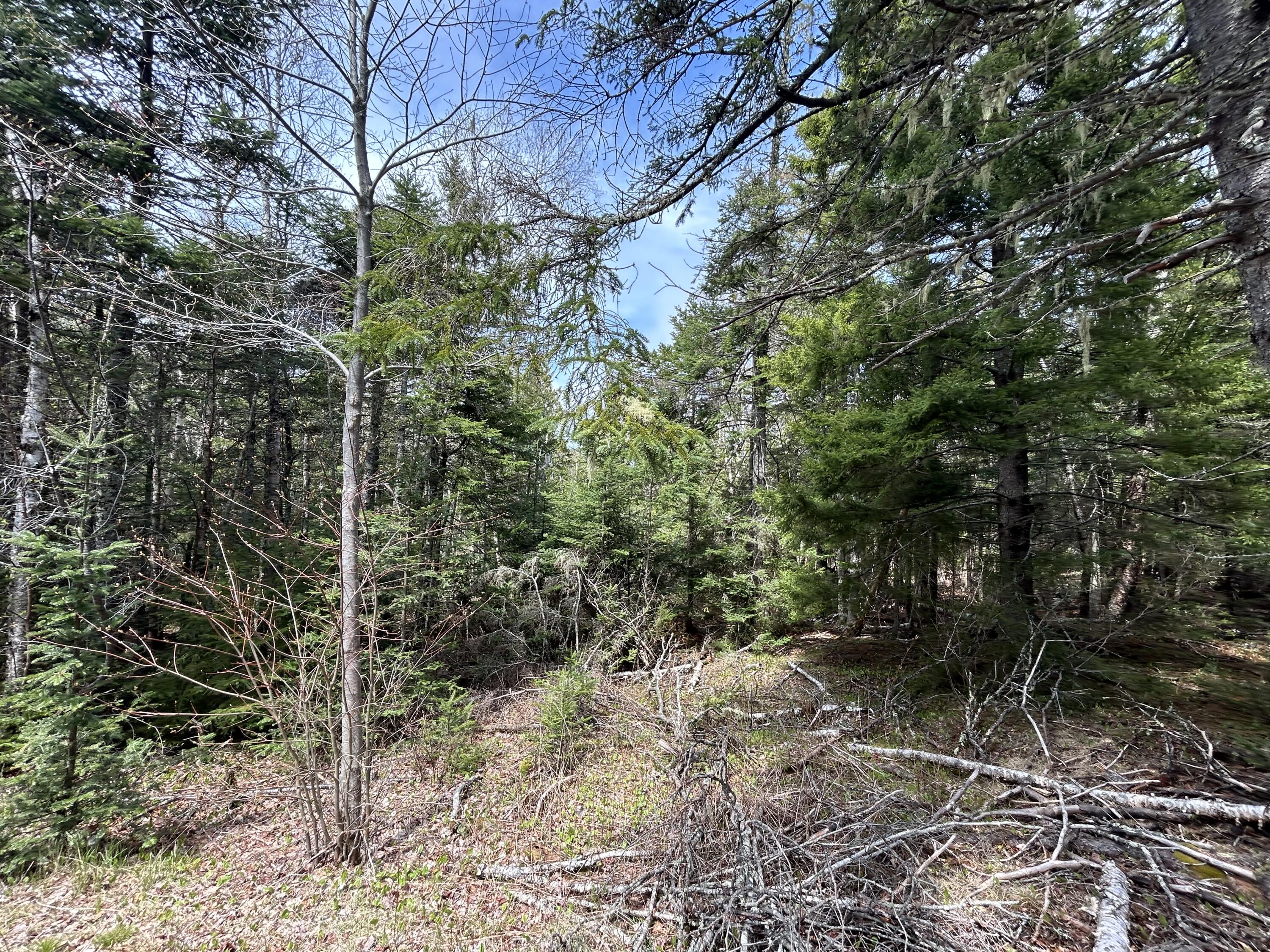Lot 4 Julian Road Lubec, ME 04652 - Photo 7 of 13 2E46BFBC-81A6-4739-BA2B-D0A1FB3B761F